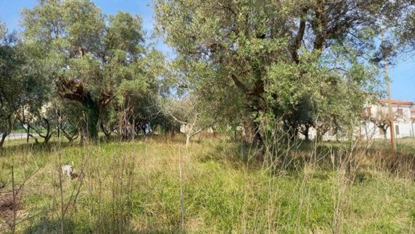 casa indipendente in vendita a Cingoli in zona Torre