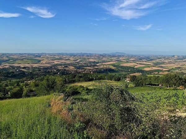 terreno agricolo in vendita a Cingoli