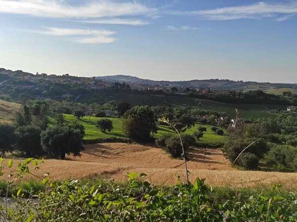 terreno agricolo in vendita a Cingoli in zona Strada