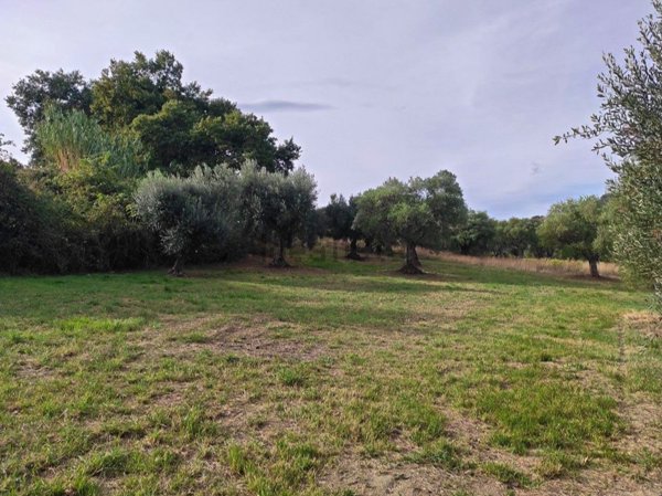 terreno agricolo in vendita a Cingoli