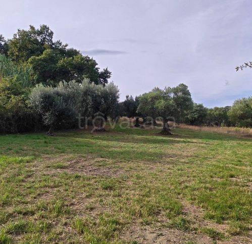terreno agricolo in vendita a Cingoli