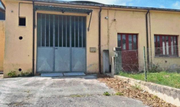 pentavano in vendita a Cingoli in zona Troviggiano