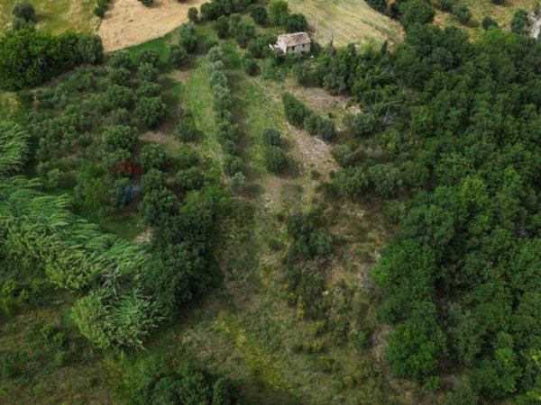 casale in vendita a Cingoli in zona Avenale