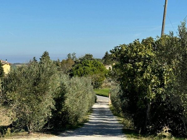 casa indipendente in vendita a Cingoli in zona Cervidone