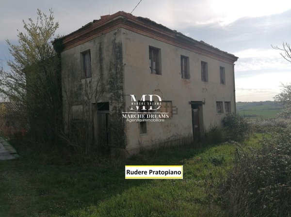 esavano in vendita a Cingoli