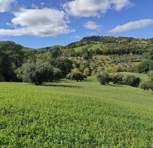 terreno agricolo in vendita a Cingoli in zona Strada