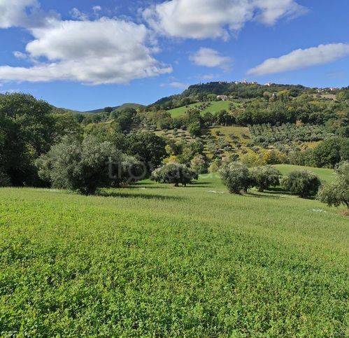 terreno agricolo in vendita a Cingoli in zona Strada