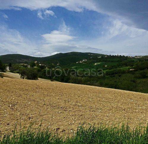terreno agricolo in vendita a Cingoli in zona Strada