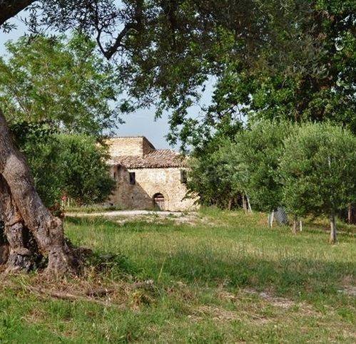 casa indipendente in vendita a Cingoli in zona Strada