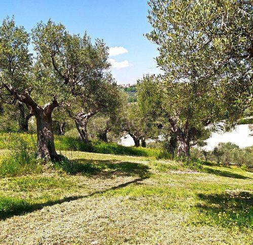 casa indipendente in vendita a Cingoli in zona Strada