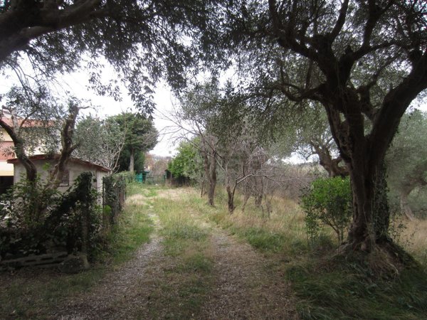 casa indipendente in vendita a Cingoli in zona Torre