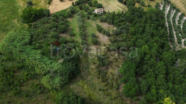 appartamento in vendita a Cingoli in zona Avenale