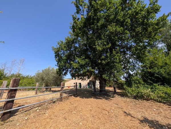 casa indipendente in vendita a Cingoli