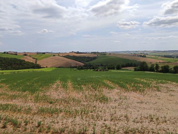 casale in vendita a Cingoli