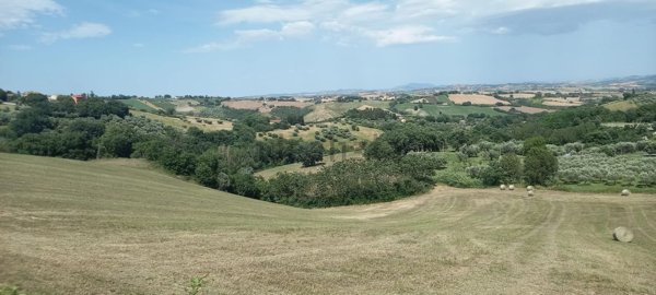 terreno agricolo in vendita a Cingoli