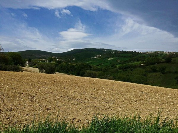 terreno agricolo in vendita a Cingoli in zona Santa Maria del Rango