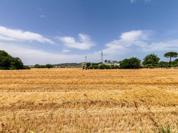 terreno agricolo in vendita a Civitanova Marche in zona Santa Maria Apparente