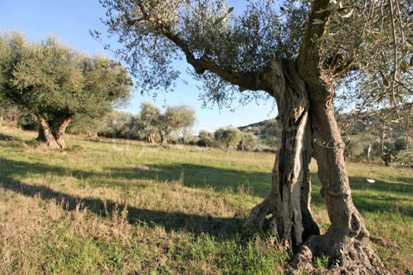 casa indipendente in vendita a Civitanova Marche