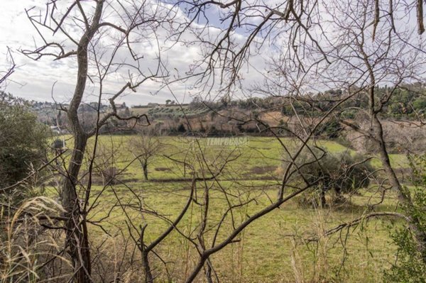 terreno agricolo in vendita a Civitanova Marche