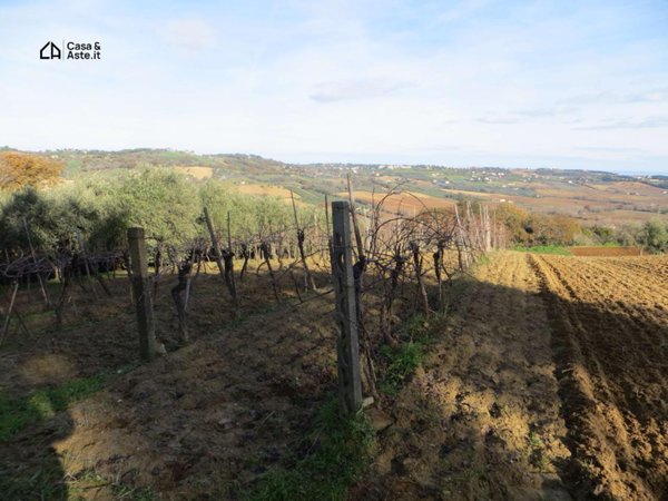 terreno agricolo in vendita a Civitanova Marche