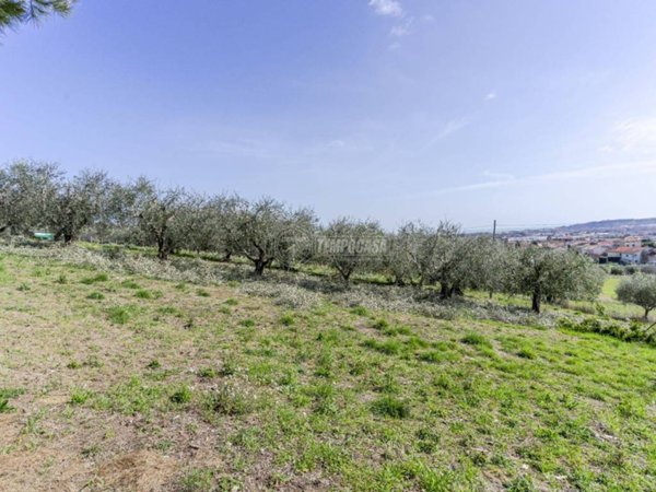 negozio in vendita a Civitanova Marche in zona Santa Maria Apparente