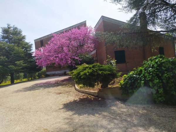 appartamento in vendita a Civitanova Marche