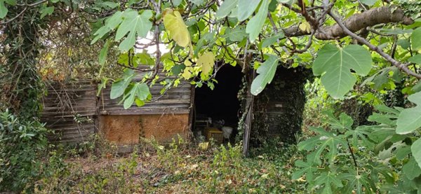 terreno agricolo in vendita a Civitanova Marche