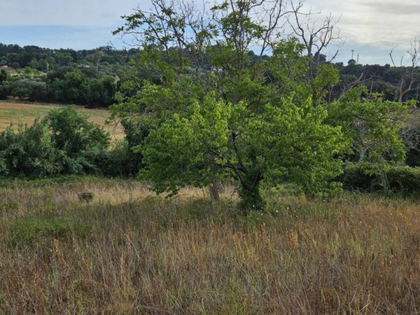 terreno agricolo in vendita a Civitanova Marche
