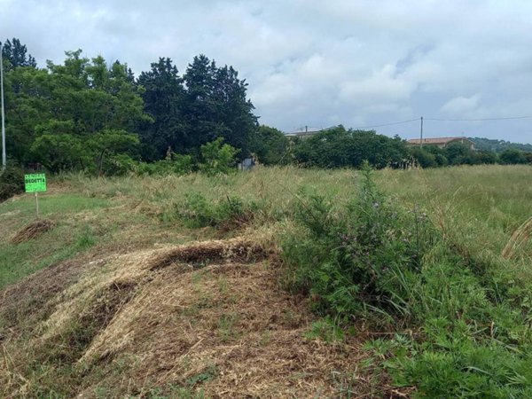 terreno agricolo in vendita a Civitanova Marche in zona San Marone
