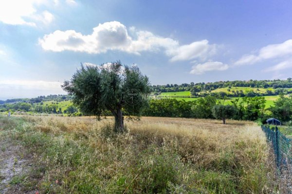 terreno agricolo in vendita a Civitanova Marche