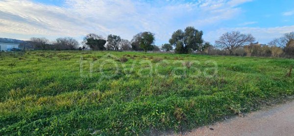 terreno agricolo in vendita a Civitanova Marche