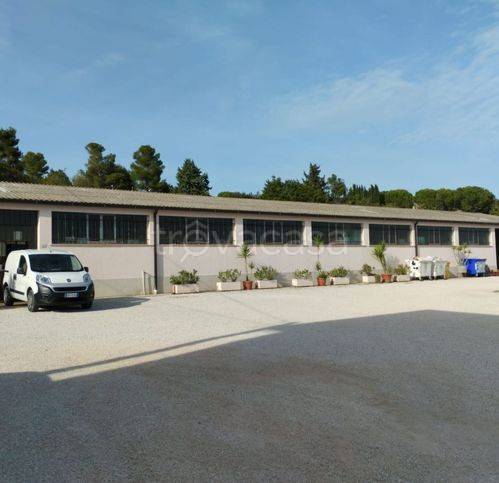 locale commerciale in vendita a Civitanova Marche
