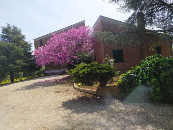 appartamento in vendita a Civitanova Marche
