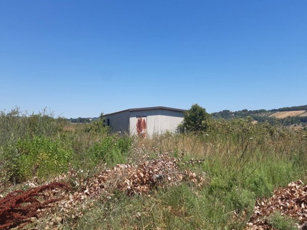 locale di sgombero in vendita a Civitanova Marche