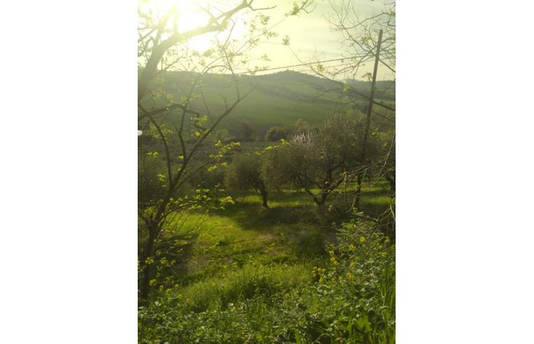 terreno agricolo in vendita a Civitanova Marche