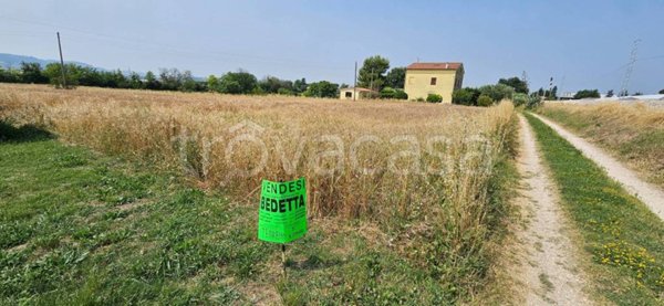 terreno agricolo in vendita a Civitanova Marche in zona Santa Maria Apparente