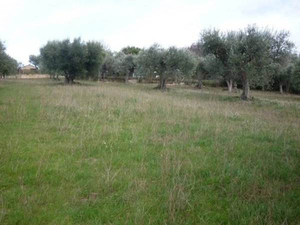 terreno agricolo in vendita a Civitanova Marche in zona Fontespina