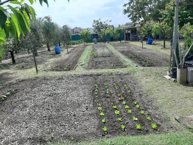 terreno agricolo in vendita a Civitanova Marche in zona San Marone
