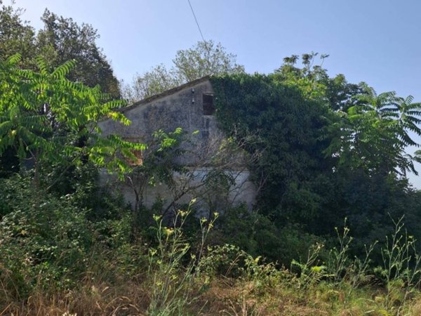 casa indipendente in vendita a Civitanova Marche