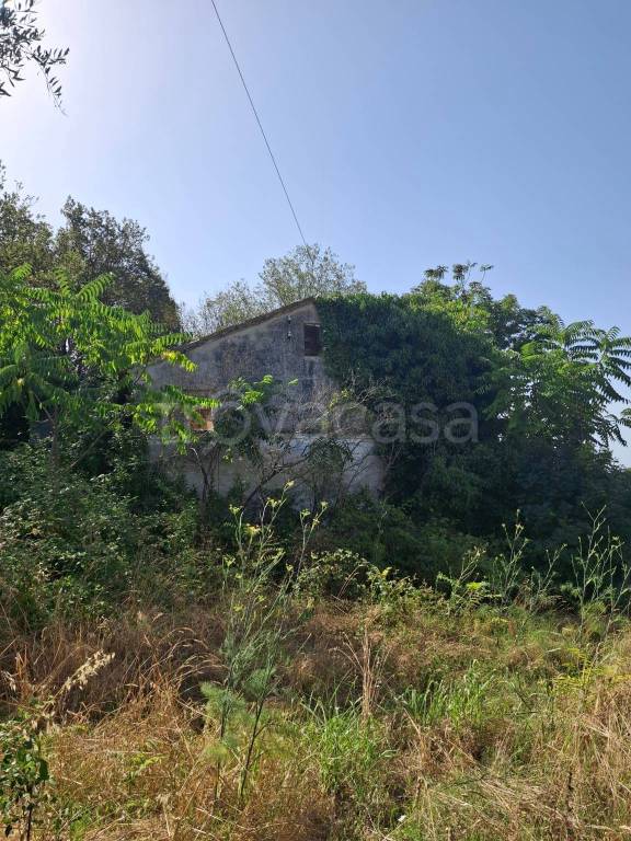 casa indipendente in vendita a Civitanova Marche
