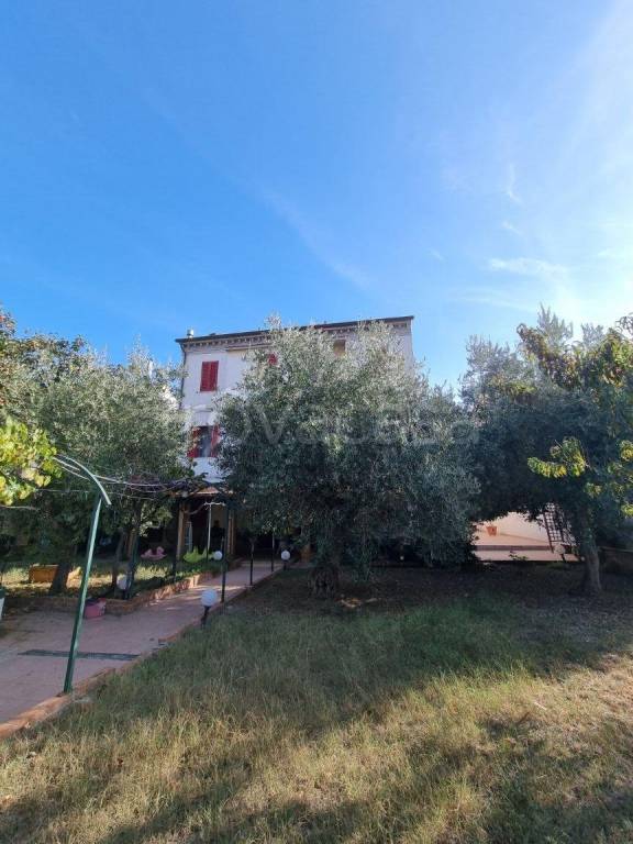 casa indipendente in vendita a Civitanova Marche