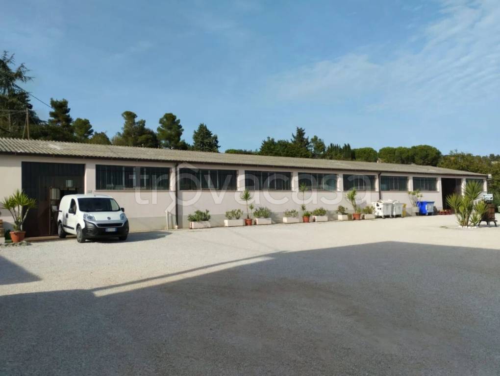 locale commerciale in vendita a Civitanova Marche