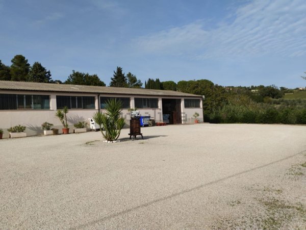 capannone in vendita a Civitanova Marche