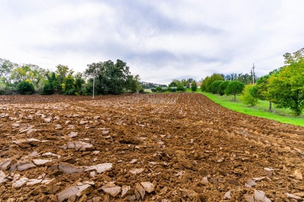 terreno agricolo in vendita a Civitanova Marche
