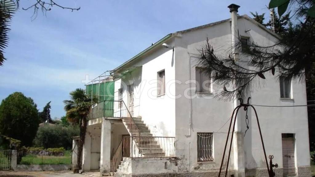 esavano in vendita a Civitanova Marche