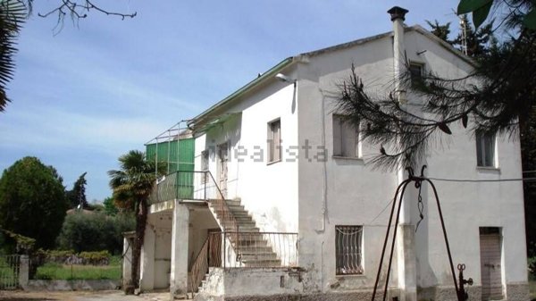 esavano in vendita a Civitanova Marche