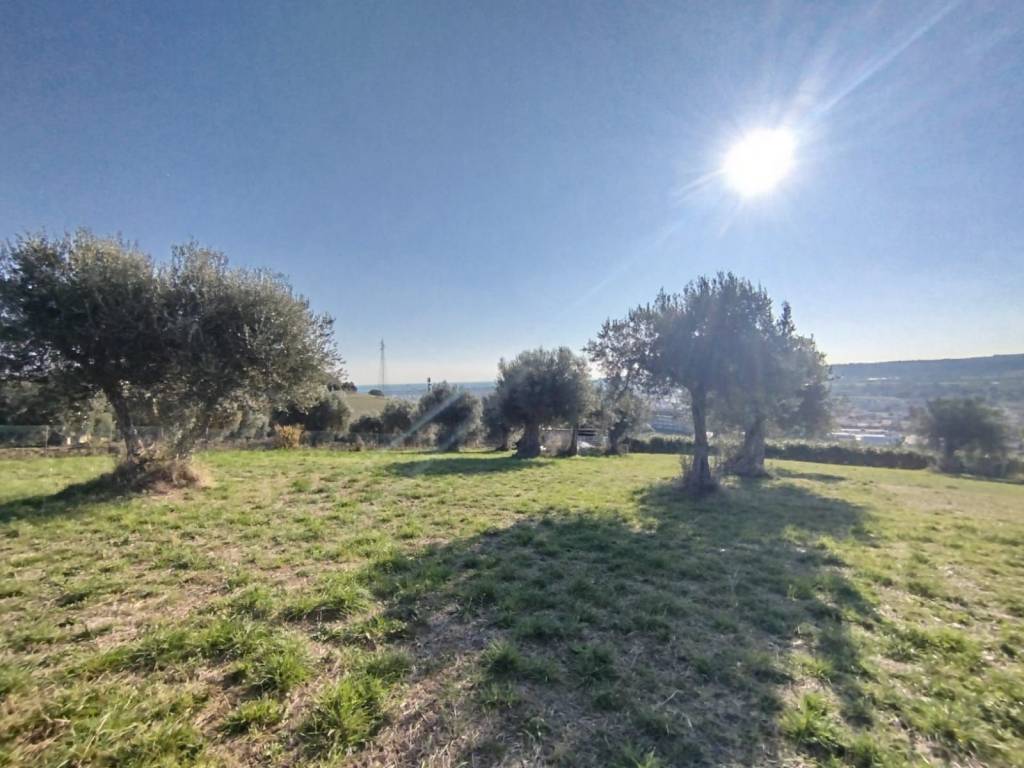 terreno edificabile in vendita a Civitanova Marche