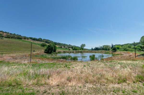 terreno agricolo in vendita a Civitanova Marche
