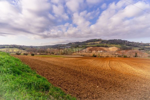 terreno agricolo in vendita a Civitanova Marche