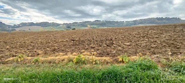 terreno agricolo in vendita a Civitanova Marche